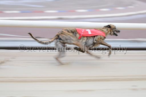 mayaction_495.JPG - (C)S.FARNDON