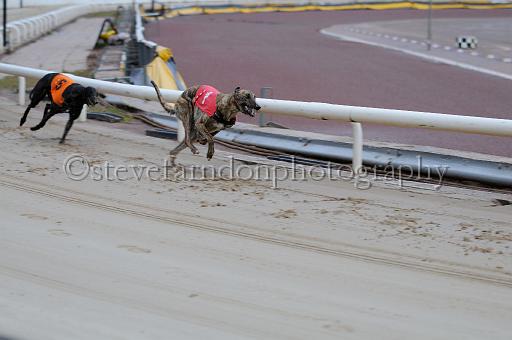mayaction_496.JPG - (C)S.FARNDON