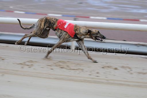 mayaction_499.JPG - (C)S.FARNDON