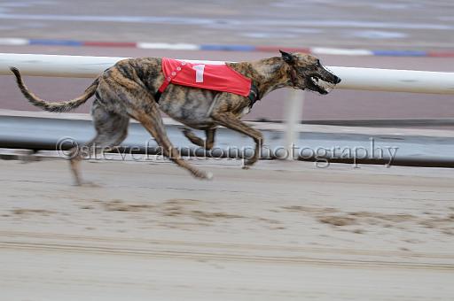 mayaction_500.JPG - (C)S.FARNDON