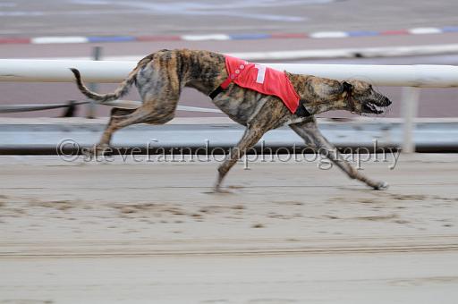 mayaction_501.JPG - (C)S.FARNDON