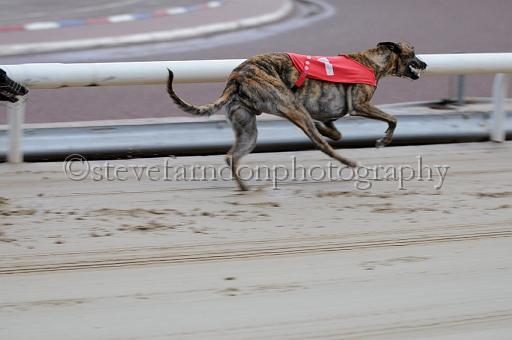 mayaction_502.JPG - (C)S.FARNDON