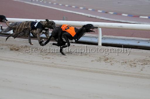 mayaction_506.JPG - (C)S.FARNDON