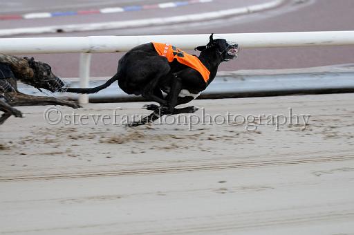 mayaction_509.JPG - (C)S.FARNDON