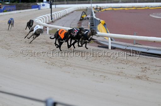 mayaction_511.JPG - (C)S.FARNDON