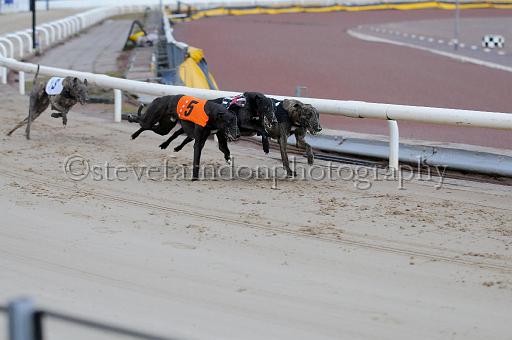 mayaction_512.JPG - (C)S.FARNDON
