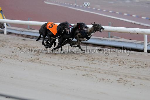 mayaction_513.JPG - (C)S.FARNDON