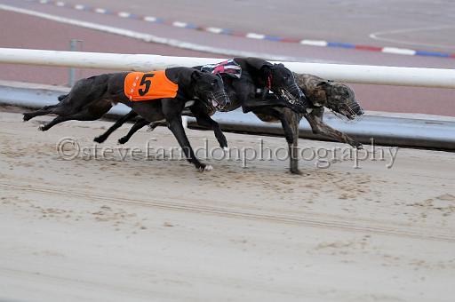 mayaction_514.JPG - (C)S.FARNDON