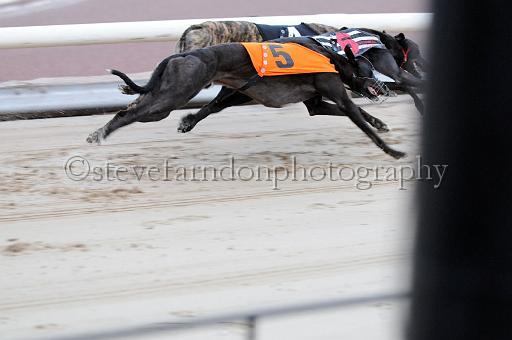mayaction_518.JPG - (C)S.FARNDON