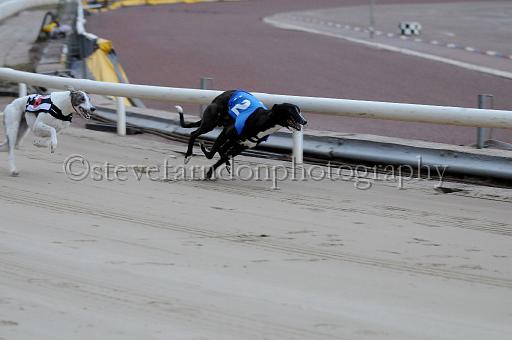 mayaction_523.JPG - (C)S.FARNDON