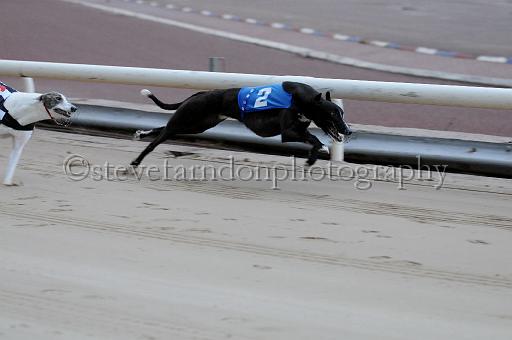 mayaction_524.JPG - (C)S.FARNDON