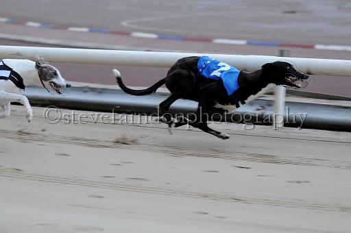 mayaction_525.JPG - (C)S.FARNDON