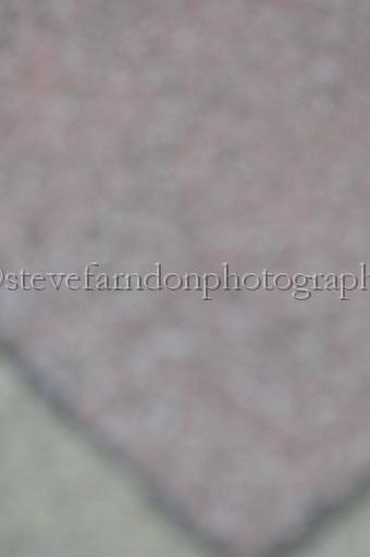 mayaction_528.JPG - (C)S.FARNDON