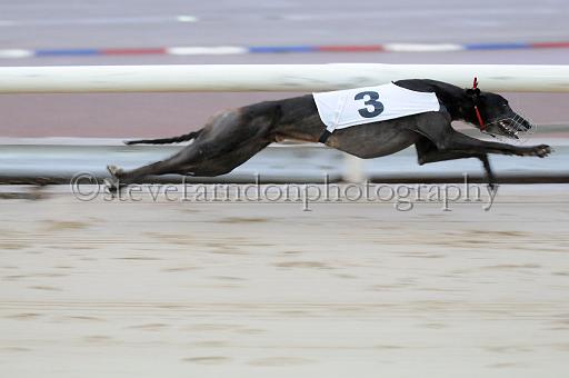 mayaction_534.JPG - (C)S.FARNDON