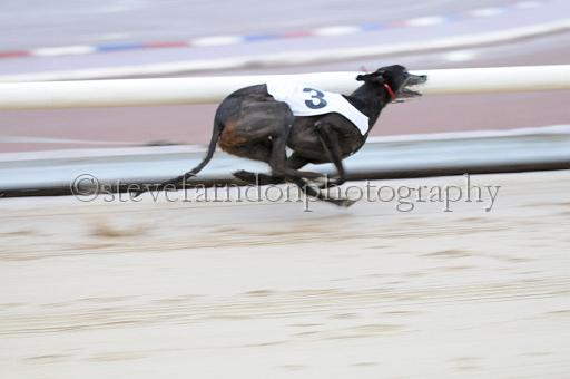 mayaction_535.JPG - (C)S.FARNDON