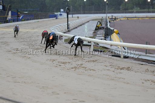 mayaction_536.JPG - (C)S.FARNDON