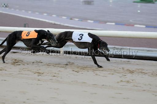 mayaction_540.JPG - (C)S.FARNDON