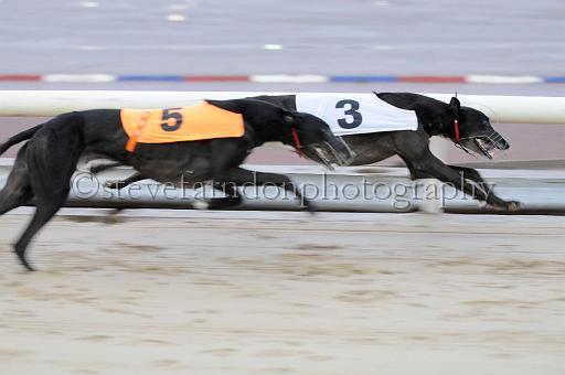 mayaction_543.JPG - (C)S.FARNDON