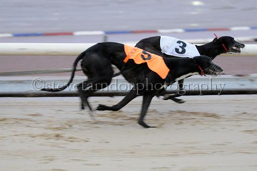 mayaction_544.JPG - (C)S.FARNDON