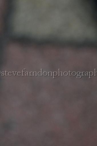 mayaction_546.JPG - (C)S.FARNDON