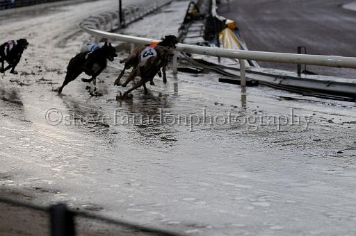 mayaction_547.JPG - (C)S.FARNDON