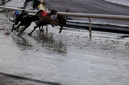 mayaction_548.JPG - (C)S.FARNDON