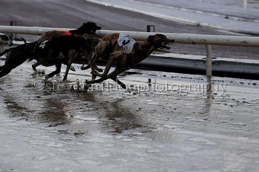 mayaction_549.JPG - (C)S.FARNDON