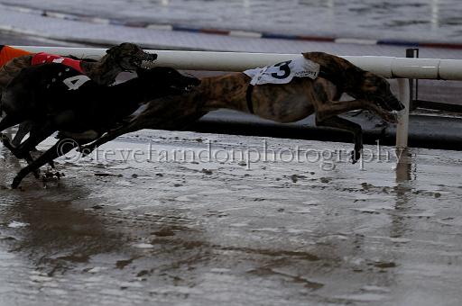 mayaction_550.JPG - (C)S.FARNDON