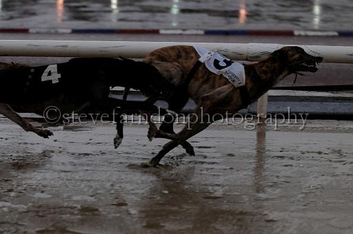 mayaction_551.JPG - (C)S.FARNDON