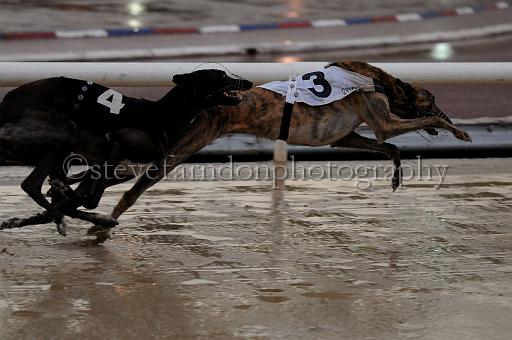 mayaction_552.JPG - (C)S.FARNDON