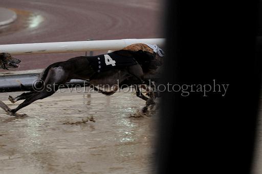 mayaction_553.JPG - (C)S.FARNDON