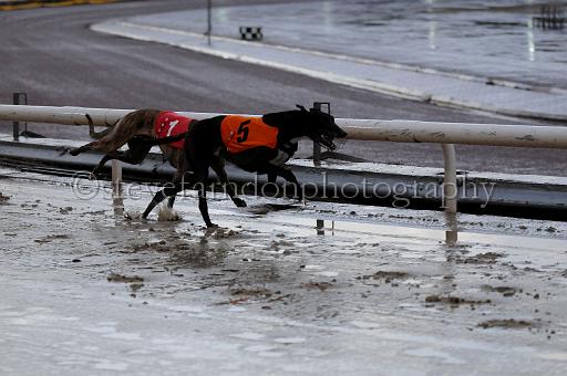 mayaction_556.JPG - (C)S.FARNDON