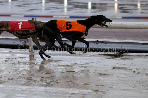 mayaction_558.JPG - (C)S.FARNDON