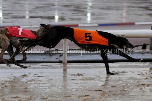 mayaction_559.JPG - (C)S.FARNDON