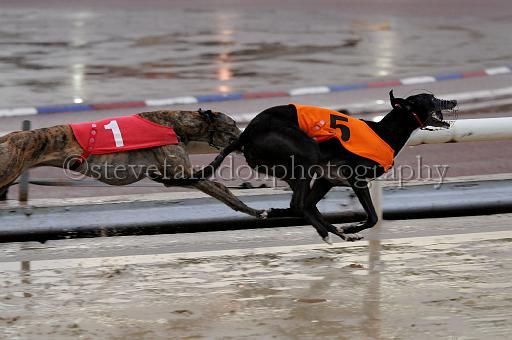mayaction_560.JPG - (C)S.FARNDON