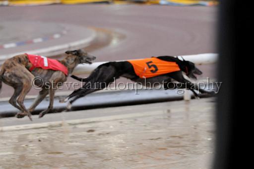 mayaction_561.JPG - (C)S.FARNDON