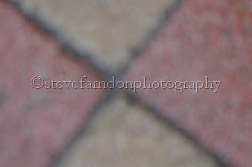 mayaction_562.JPG - (C)S.FARNDON