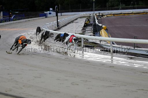 mayaction_563.JPG - (C)S.FARNDON
