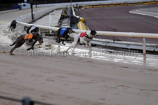 mayaction_564.JPG - (C)S.FARNDON
