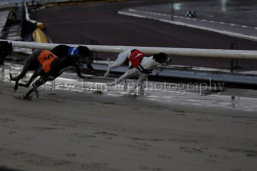 mayaction_565.JPG - (C)S.FARNDON