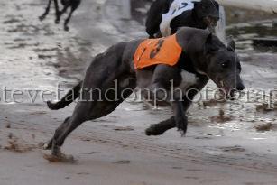mayaction_566.JPG - (C)S.FARNDON