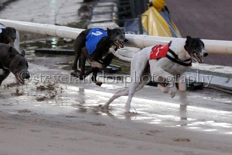 mayaction_567.JPG - (C)S.FARNDON
