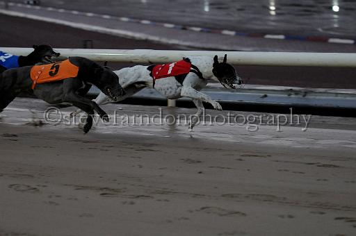 mayaction_568.JPG - (C)S.FARNDON