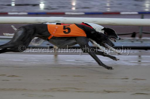 mayaction_570.JPG - (C)S.FARNDON