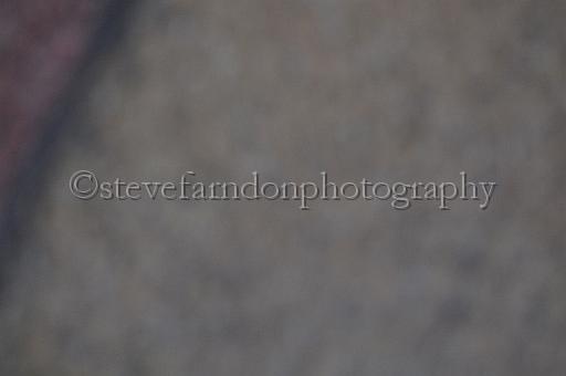 mayaction_571.JPG - (C)S.FARNDON