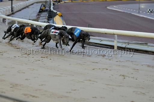mayaction_573.JPG - (C)S.FARNDON