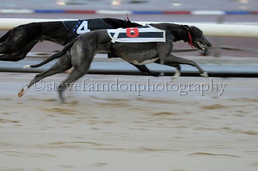 mayaction_581.JPG - (C)S.FARNDON