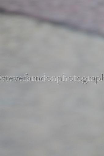 mayaction_584.JPG - (C)S.FARNDON