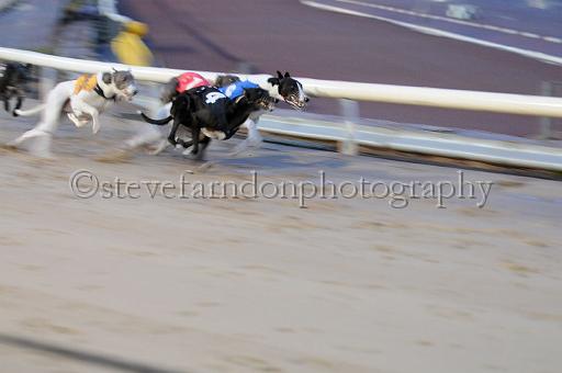 mayaction_586.JPG - (C)S.FARNDON