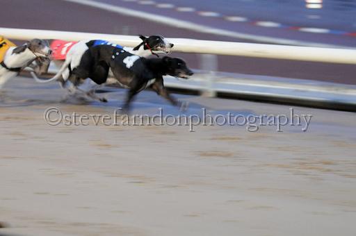 mayaction_587.JPG - (C)S.FARNDON